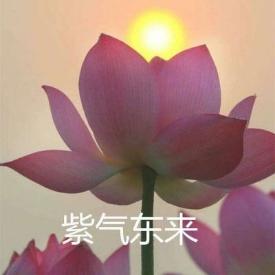 龙之纪元3d暗黑游戏下载